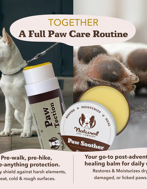 Load image into Gallery viewer, Pawtection, 1 Oz Tin, Veterinarian-Approved, All-Natural Dog Paw Balm and Moisturizer, Nourishing Dog Paw Protector for Rough Terrain and Harsh Temperatures
