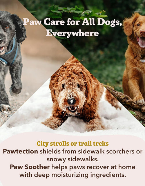 Load image into Gallery viewer, Pawtection, 1 Oz Tin, Veterinarian-Approved, All-Natural Dog Paw Balm and Moisturizer, Nourishing Dog Paw Protector for Rough Terrain and Harsh Temperatures
